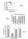 Fig. 02 - Methods of application of Schisandrin B in the preparation of anticancer medications