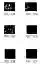 Fig. 08 - Methods of application of Schisandrin B in the preparation of anticancer medications