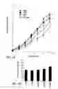 Fig. 10 - Methods of application of Schisandrin B in the preparation of anticancer medications