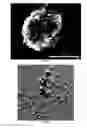 Fig. 02 - Bio-based epoxy, their nanocomposites and methods for making those