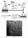 Fig. 06 - Bio-based epoxy, their nanocomposites and methods for making those