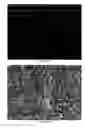 Fig. 22 - Bio-based epoxy, their nanocomposites and methods for making those