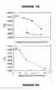 Fig. 06 - Process for the preparation of amphiphilic poly (N-vinyl-2-pyrrolidone) block copolymers