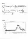 Fig. 02 - Biodegradable polyphosphoramidates for controlled release of bioactive substances