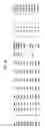 Fig. 06 - Synthetic antibody phage libraries