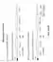 Fig. 41 - Synthetic antibody phage libraries