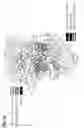 Fig. 44 - Synthetic antibody phage libraries