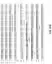 Fig. 46 - Synthetic antibody phage libraries