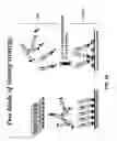 Fig. 63 - Synthetic antibody phage libraries