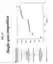 Fig. 65 - Synthetic antibody phage libraries