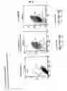 Fig. 09 - Antibody recognizing proliferative human liver cells, proliferative human liver cells and functional human liver cells