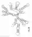 Fig. 06 - GB virus C and methods of treating viral infections