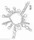Fig. 07 - GB virus C and methods of treating viral infections