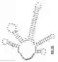 Fig. 08 - GB virus C and methods of treating viral infections