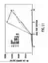 Fig. 16 - GB virus C and methods of treating viral infections