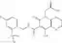 Fig. 60 - Hydroxynaphthyridinone carboxamides useful as HIV integrase inhibitors