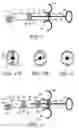 Fig. 02 - Syringe assembly