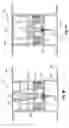 Fig. 10 - Apparatus and method for delivery of therapeutic and/or diagnostic agents