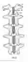 Fig. 03 - Polyaxial pedicle screw having a rotating locking element