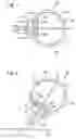 Fig. 02 - Multi-focal intraocular lens, and methods for making and using same