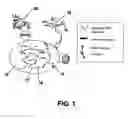 Fig. 02 - Hydrogel providing cell-specific ingrowth