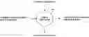 Fig. 01 - Method and apparatus for designing and planning of workforce evolution