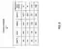 Fig. 07 - Products and processes for regulation of network access and file sharing