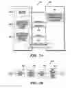 Fig. 09 - Intelligent system infrastructure for financial data computation, report remittance and funds transfer over an interactive communications network
