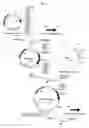 Fig. 02 - System for achieving high expression of genes