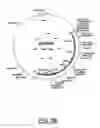 Fig. 07 - Inhibition of generative propagation in genetically modified herbicide resistant grasses