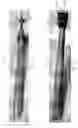 Fig. 04 - Magnetic roofing hatchet