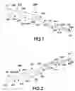Fig. 02 - Contoured jaw extractor tool and method