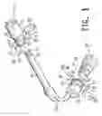 Fig. 02 - Ratchet socket tool
