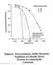Fig. 07 - Pulse gasification and hot gas cleanup apparatus and process