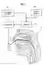 Fig. 02 - Method and apparatus for pharyngeal augmentation of ventilation
