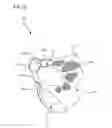 Fig. 06 - Fall protection harness