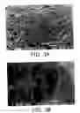 Fig. 04 - Cigarettes and cigarette components containing nanostructured fibril materials