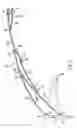 Fig. 04 - Roof structure for folding tent frame
