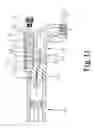 Fig. 12 - Bicycle pump valve