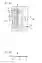 Fig. 10 - Integrated fluid sensing device