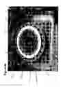 Fig. 31 - Removable closure system and plug for conduit
