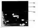 Fig. 01 - Hexavalent chromium-free sealing method applicable after sulfuric anodization of aluminum alloys, a sealing solution used in said method, and an article treated using said method