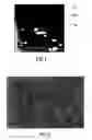 Fig. 02 - Hexavalent chromium-free sealing method applicable after sulfuric anodization of aluminum alloys, a sealing solution used in said method, and an article treated using said method