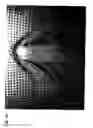 Fig. 17 - Reduced visibility insect screen