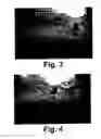 Fig. 04 - Process to sequester CO2 in natural gas hydrate fields and simultaneously recover methane