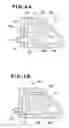 Fig. 04 - Engine mount structure for vehicle