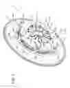 Fig. 02 - Friction clutch assembly