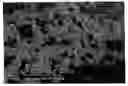 Fig. 01 - Adsorption membranes, method of producing same and equipment, including the adsorption membranes