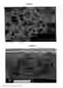 Fig. 02 - Adsorption membranes, method of producing same and equipment, including the adsorption membranes
