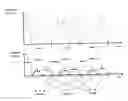 Fig. 01 - Method and device for separating different emission wavelengths in a scanning microscope